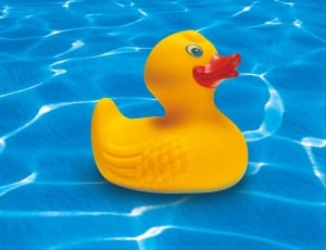 yellow and red rubber ducky thumbnail