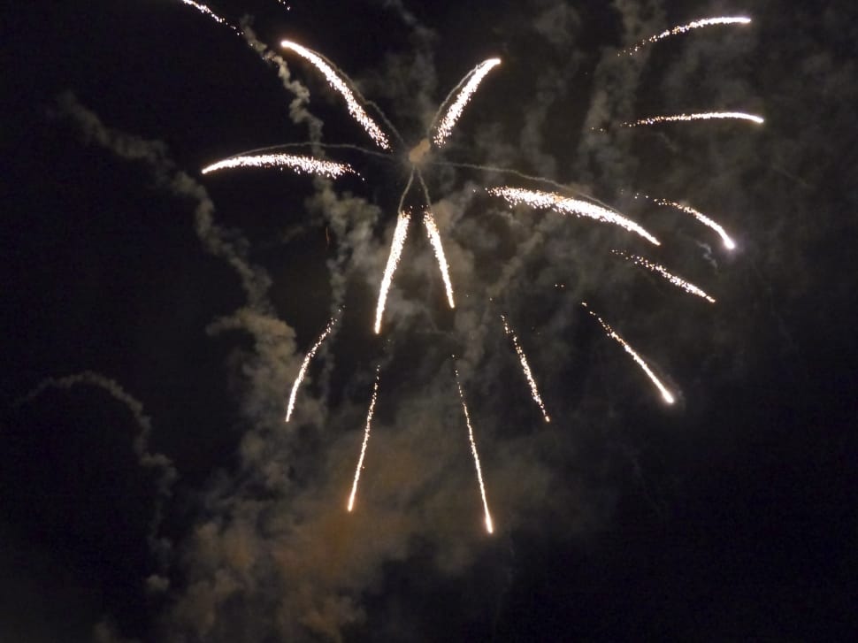 Sylvester, Fireworks, Rockets, Fire, firework display, firework - man made object preview