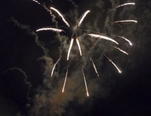 Sylvester, Fireworks, Rockets, Fire, firework display, firework - man made object thumbnail