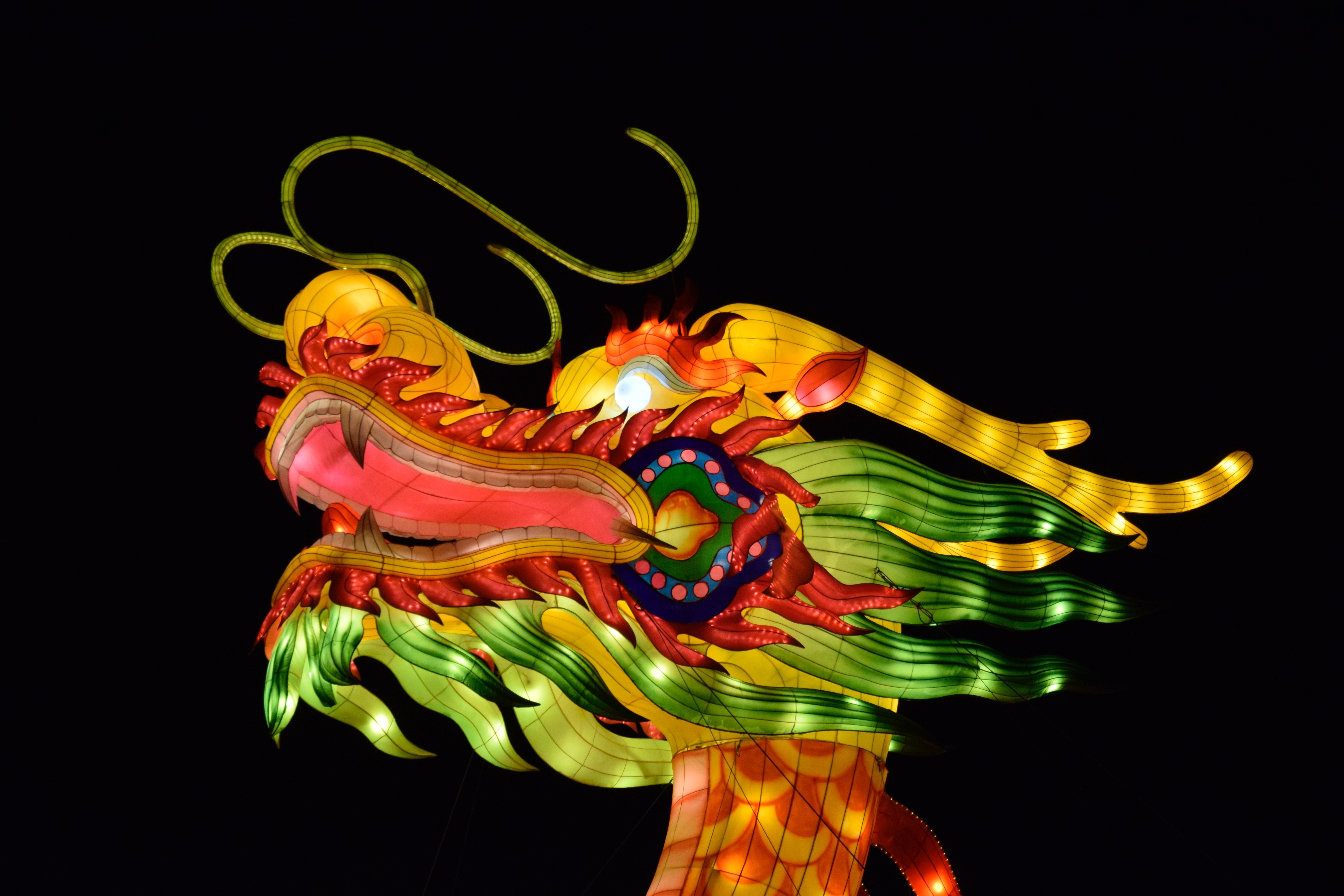 Chinese, Dragon, Dragoon, Lights, Red, multi colored, studio shot