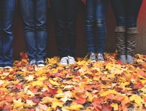 five person in blue jeans standing on dried leaves thumbnail