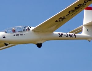 white aircraft with pilot thumbnail