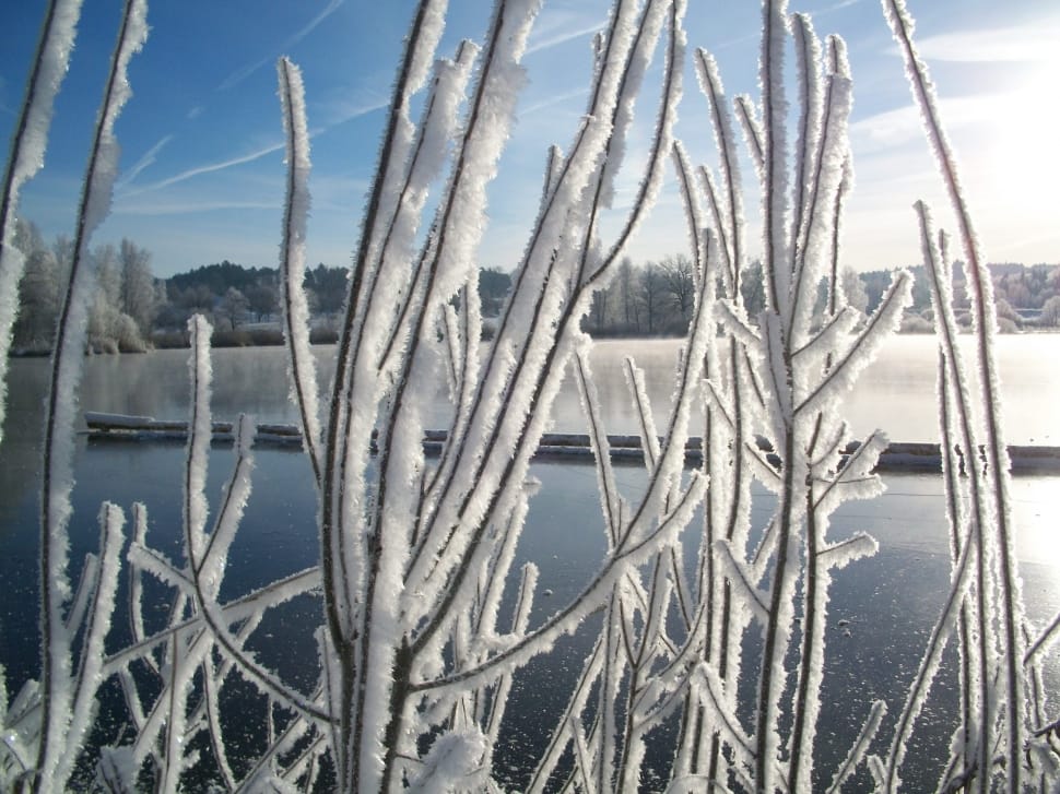 Pond, Frozen, Snow, Winter, Lake, winter, cold temperature preview