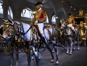 white horses with gold carriage thumbnail