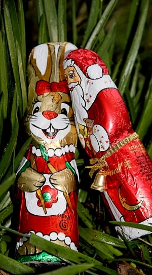 rabbit and santa decor thumbnail
