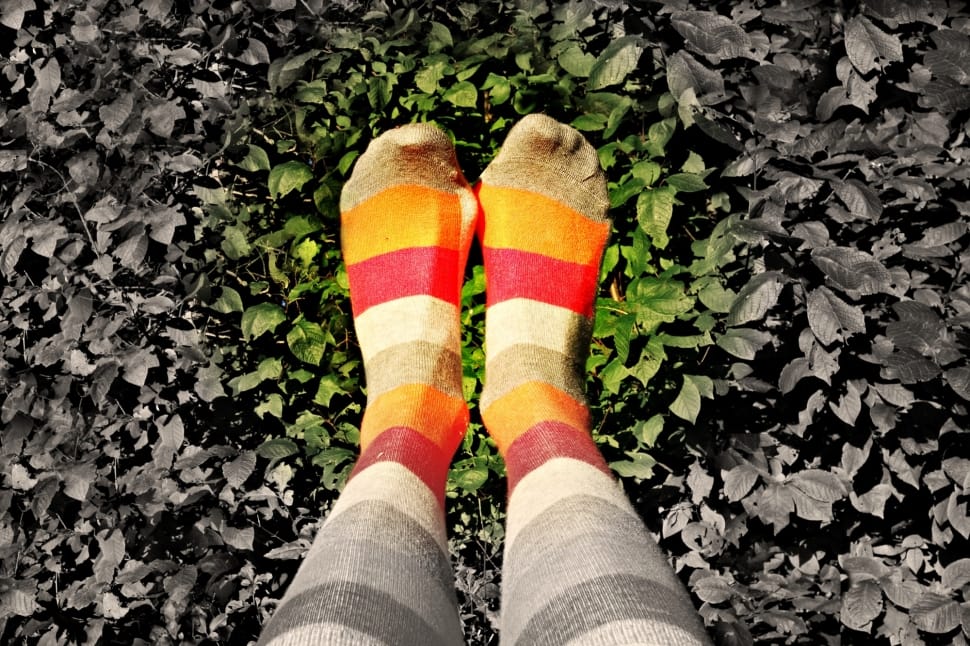 women's striped multi-colored knee high socks preview