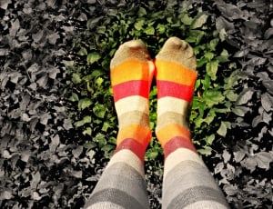 women's striped multi-colored knee high socks thumbnail