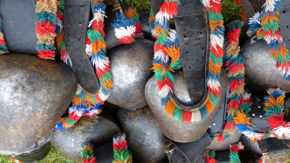 assorted color feathers preview