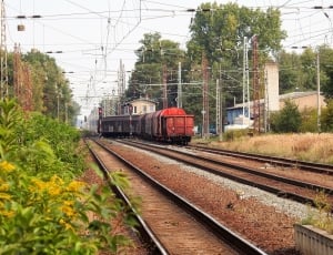 black and red train near green leaf trees thumbnail