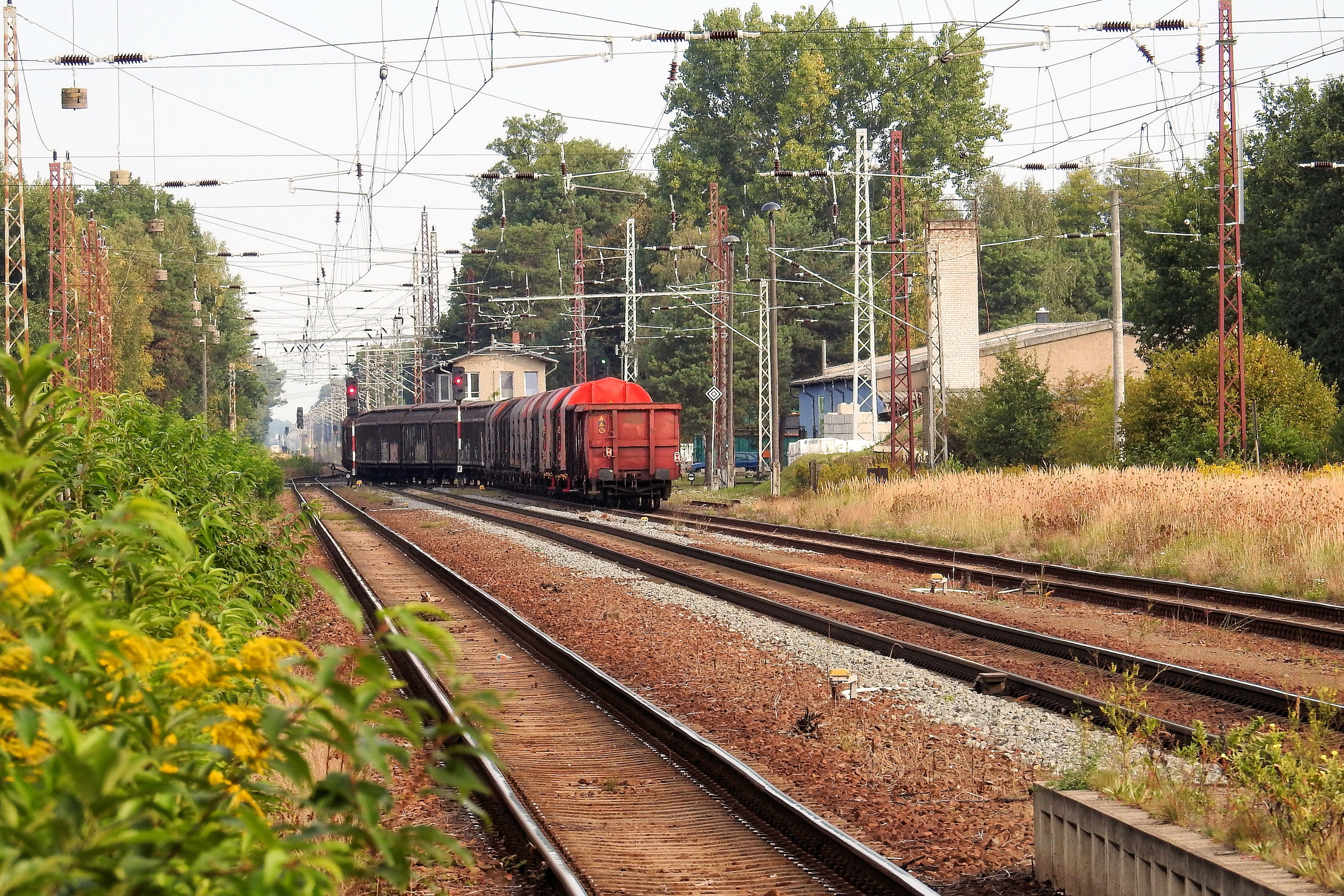 black and red train near green leaf trees