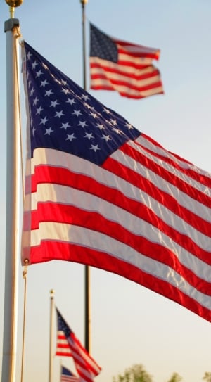 american flags and pole thumbnail