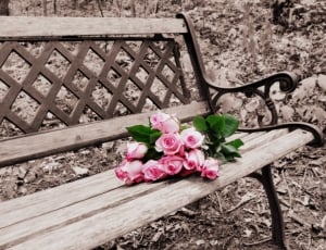 Roses On Bench, Selective Coloring, flower, no people thumbnail
