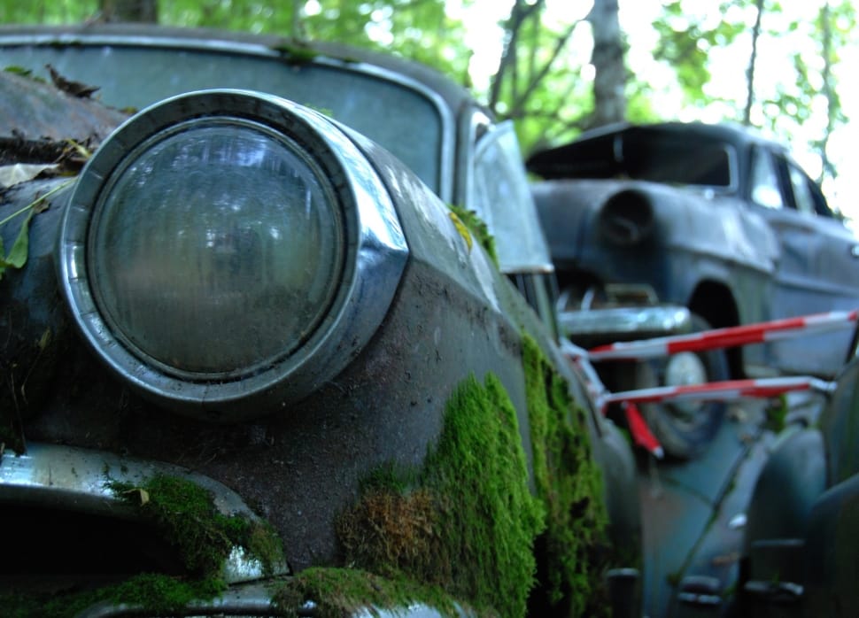Old, Car Cemetery, Discarded, Weathered, car, tree free image - Peakpx
