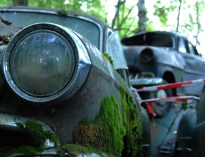 Old, Car Cemetery, Discarded, Weathered, car, tree thumbnail