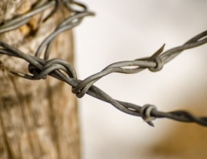 grey steel barbed wire thumbnail