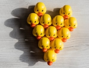 heart shape duck heads on beige wooden surface thumbnail