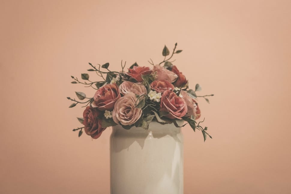 pink roses in white ceramic vase preview