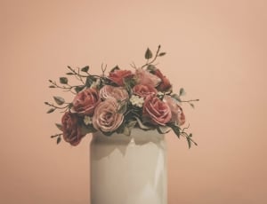 pink roses in white ceramic vase thumbnail