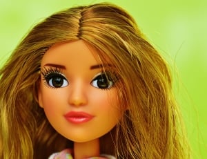 brown haired barbie doll thumbnail