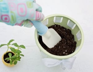 Planting, Spring, Gardening, Flower Pot, growth, drink thumbnail