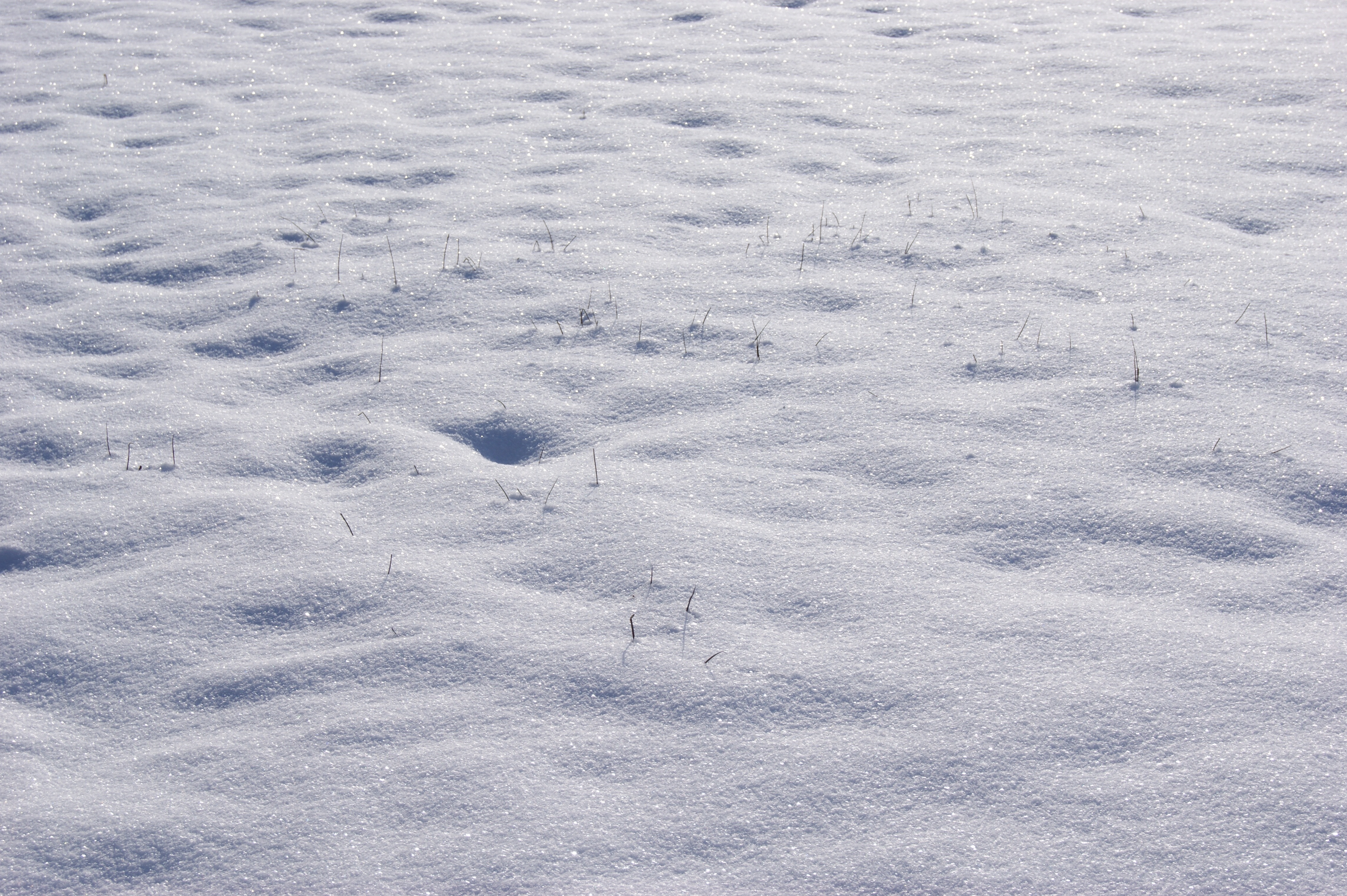 Снег на земле тонкий слой