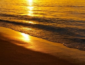 sunset on sea shore thumbnail