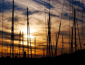 silhouette of rods during sunset thumbnail