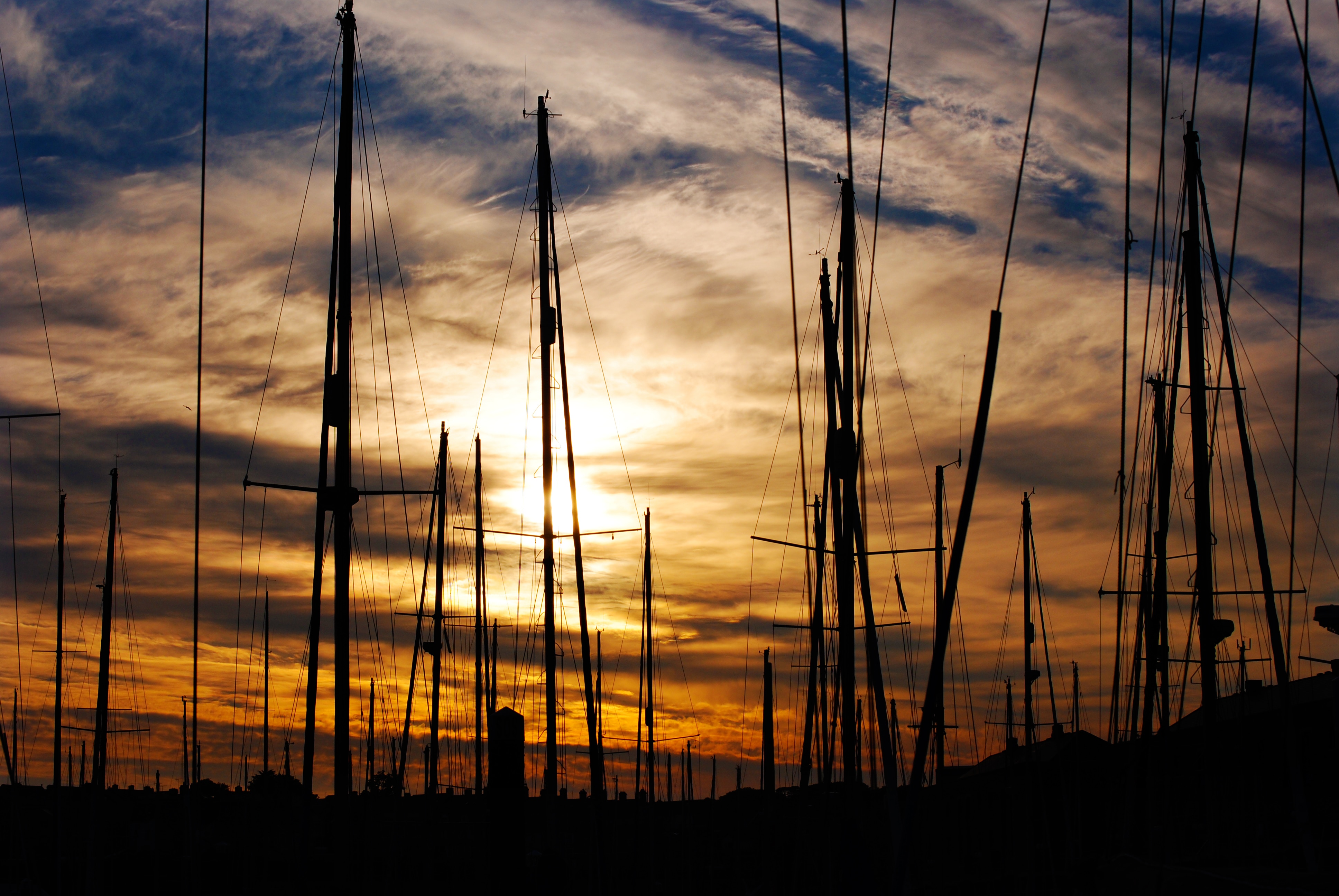silhouette of rods during sunset