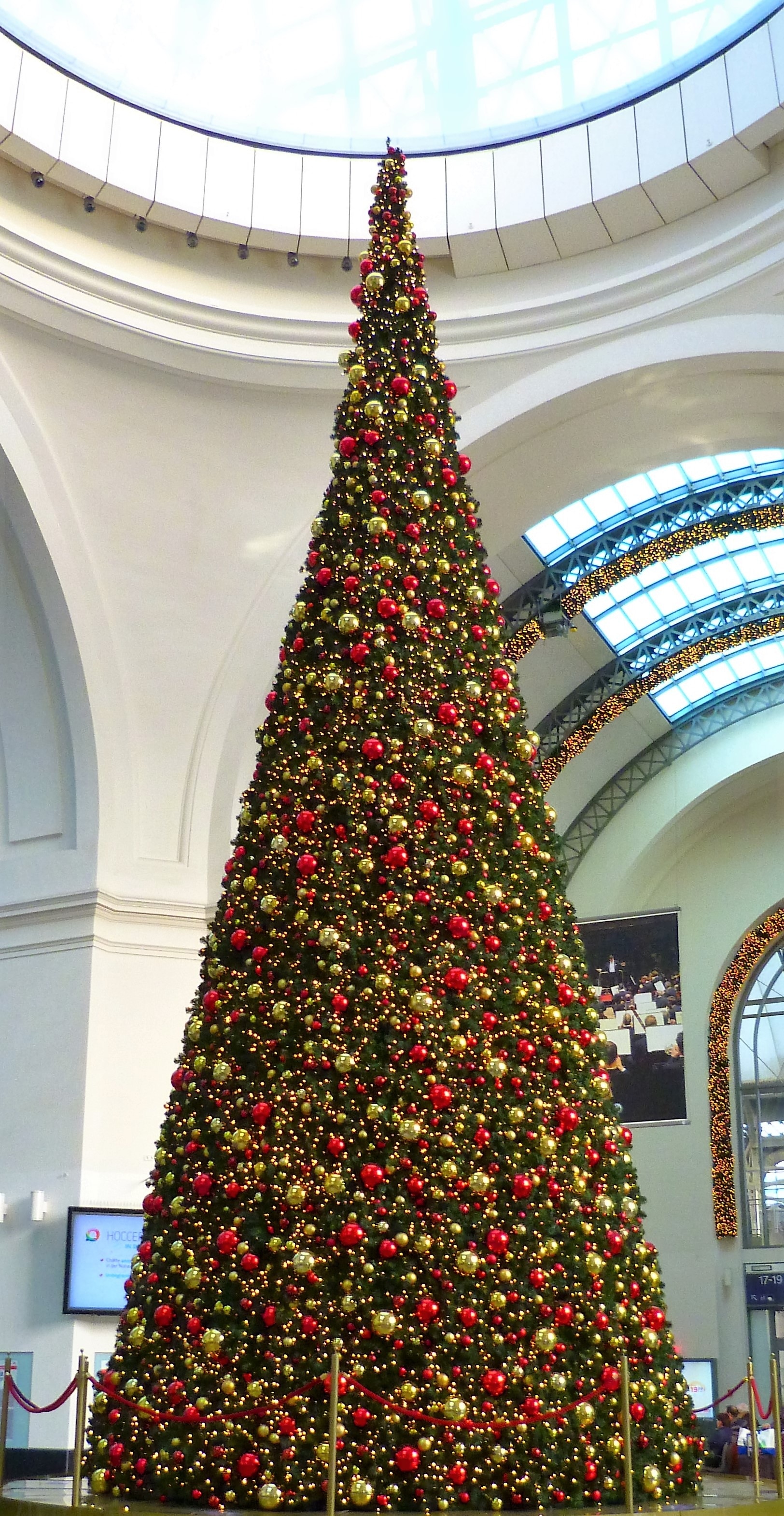 Christmas Tree, Christmas, christmas, christmas tree