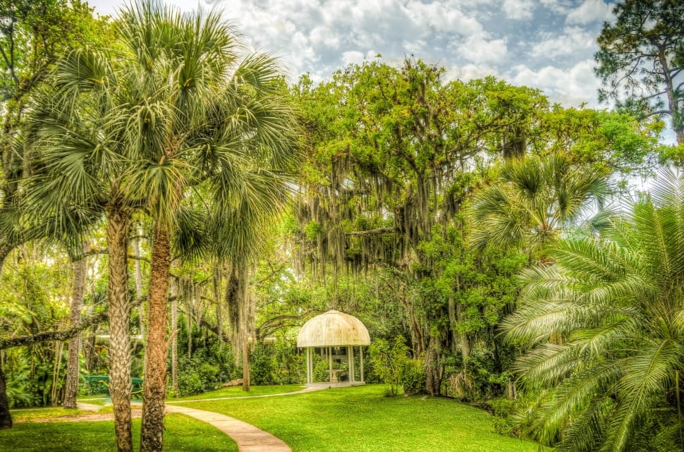 white gazebo in the middle of green palm trees wall paper preview