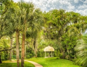 white gazebo in the middle of green palm trees wall paper thumbnail