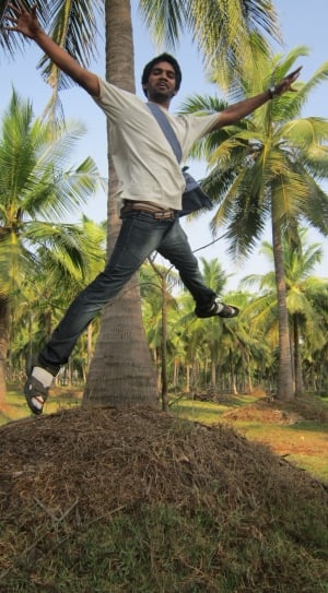 man in white shirt and blue jeans in mid air behind coconut tree thumbnail