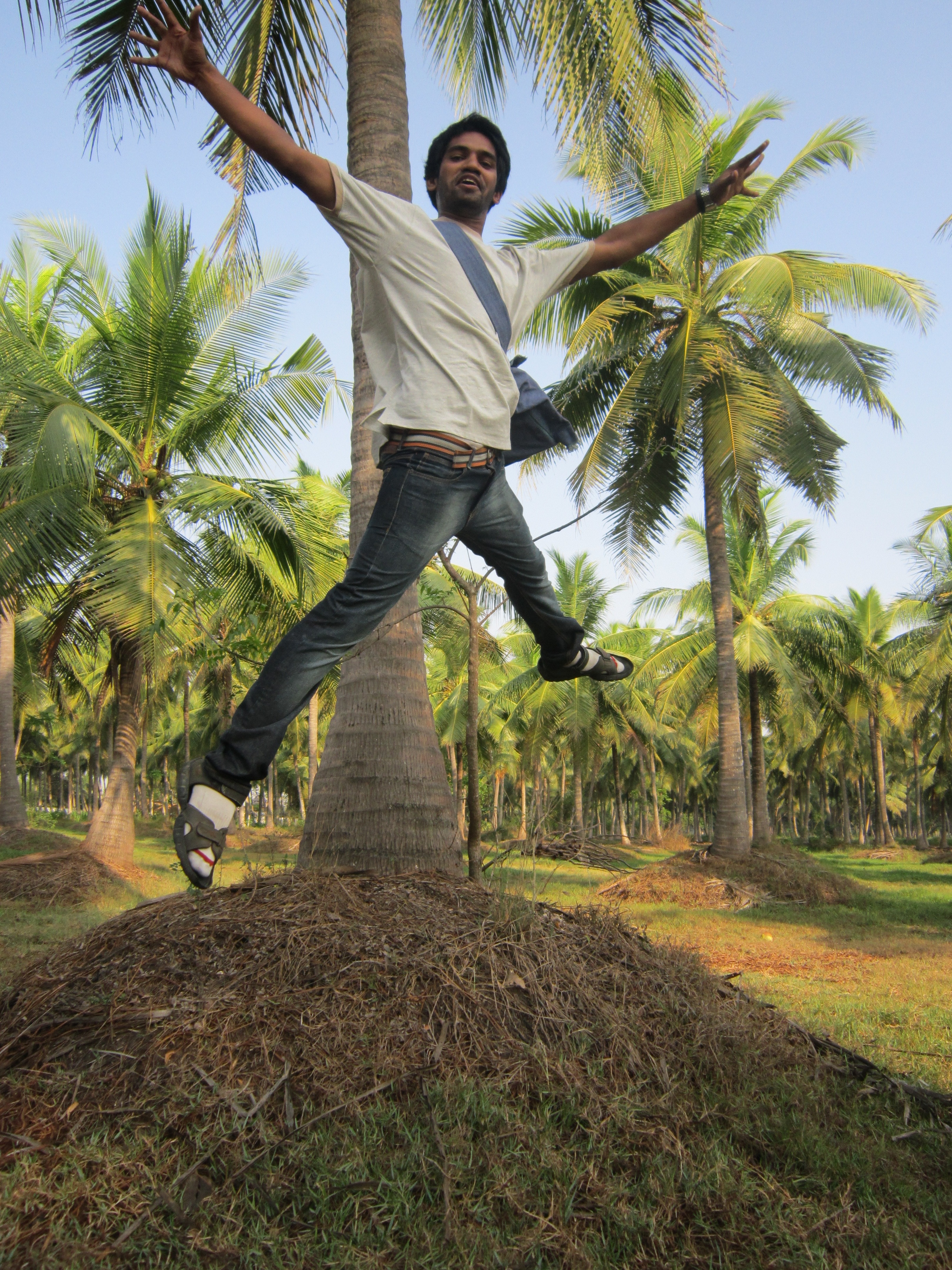 man in white shirt and blue jeans in mid air behind coconut tree