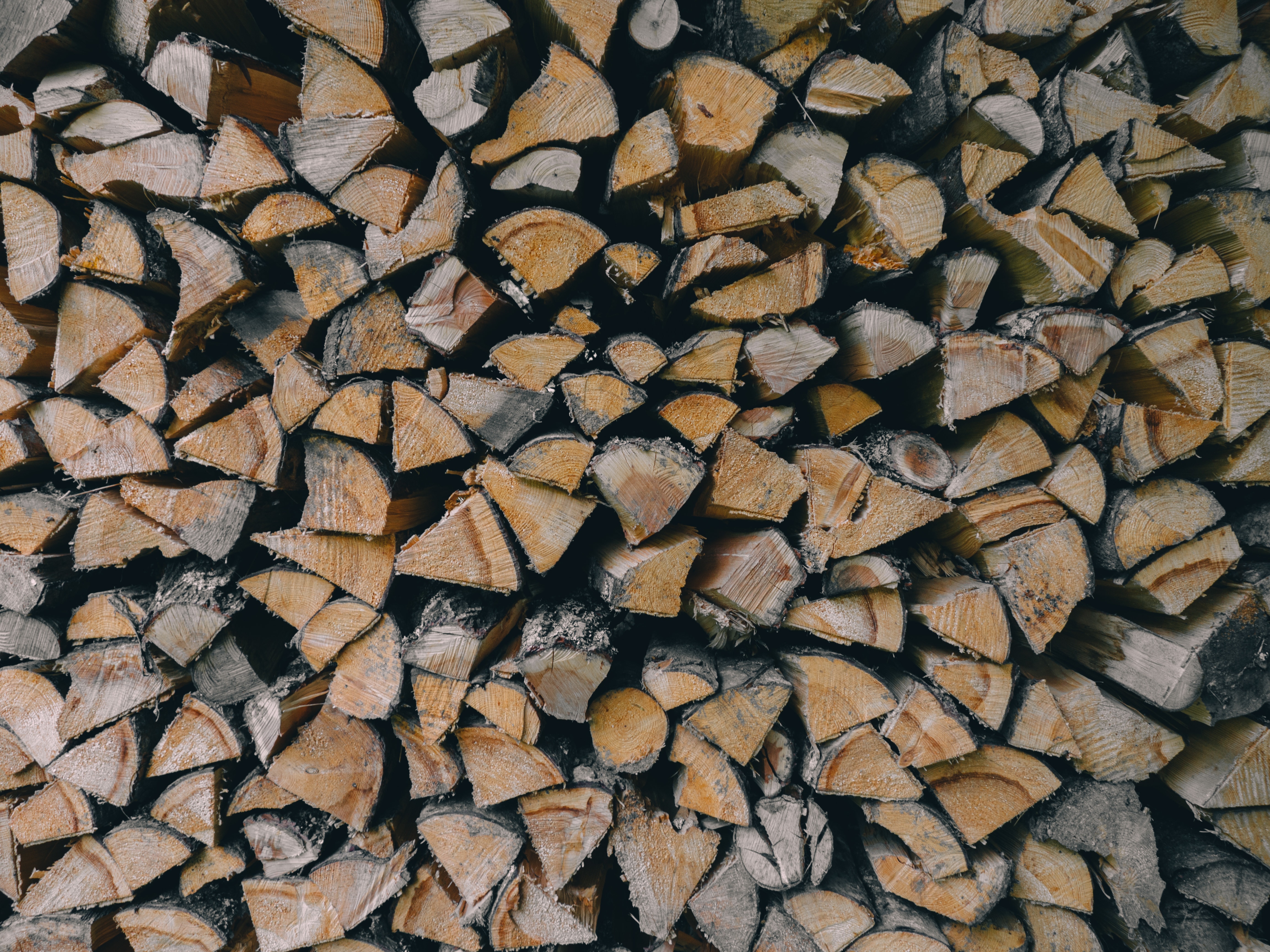 brown firewoods