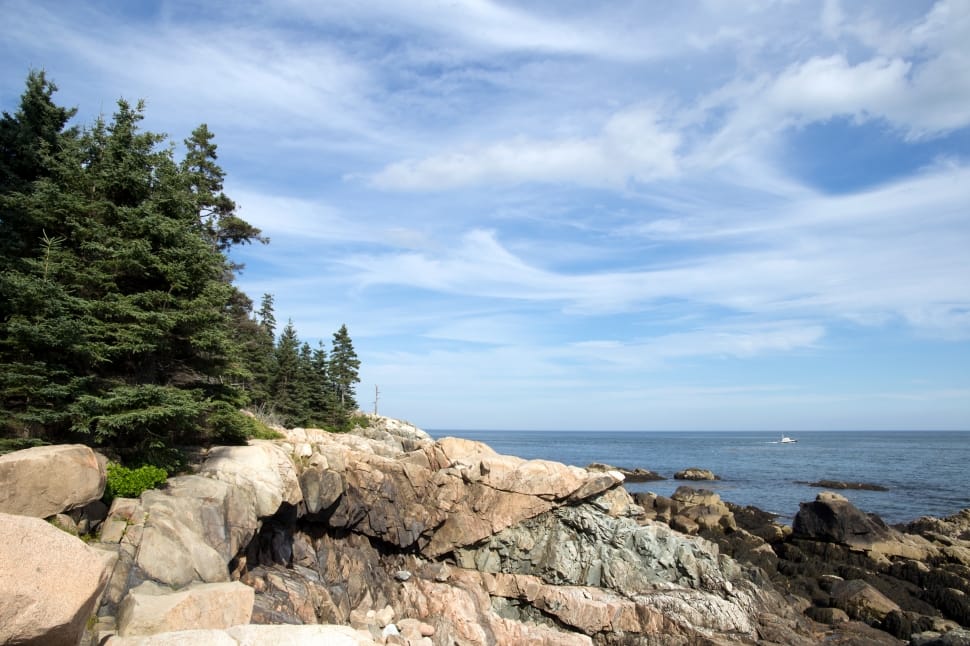 gray rock formation with pine trees beside calm sea at daytime preview