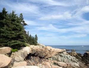 gray rock formation with pine trees beside calm sea at daytime thumbnail