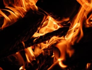 wood flame thumbnail