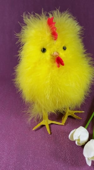 yellow chick plush toy thumbnail