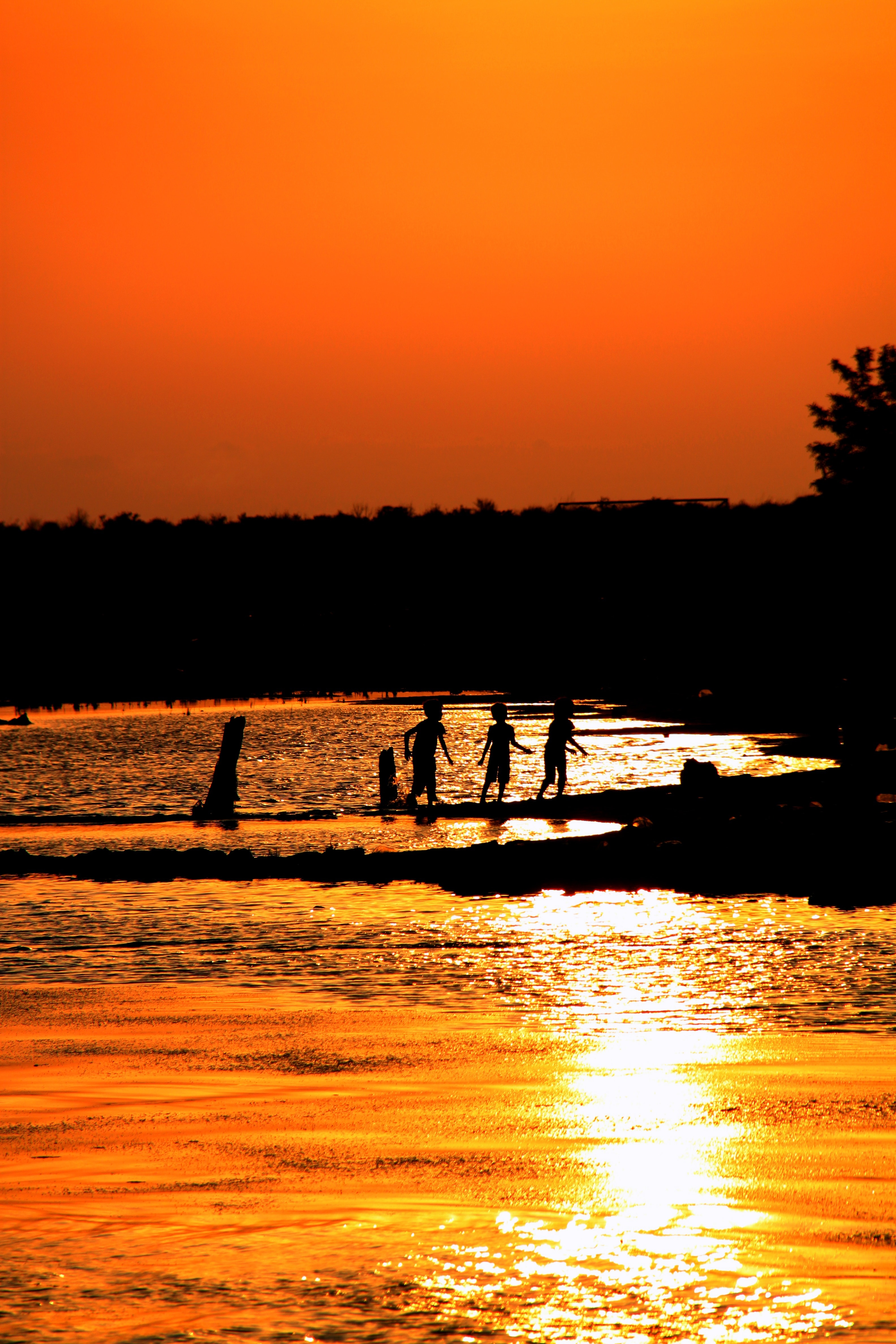 silhouette of children on body of water during sunset