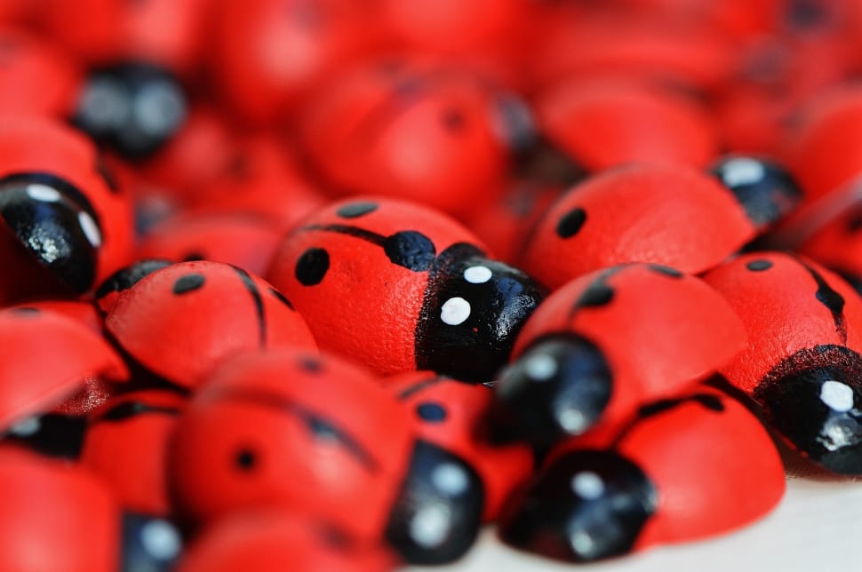 ladybug toys preview