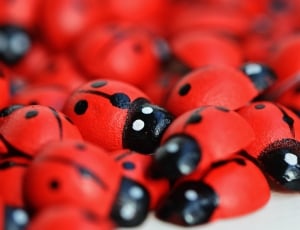 ladybug toys thumbnail