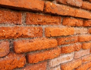 orange and brown brick wall thumbnail