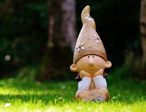 gnome figurine on grassy outdoor thumbnail