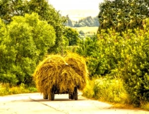 haystack on cart thumbnail
