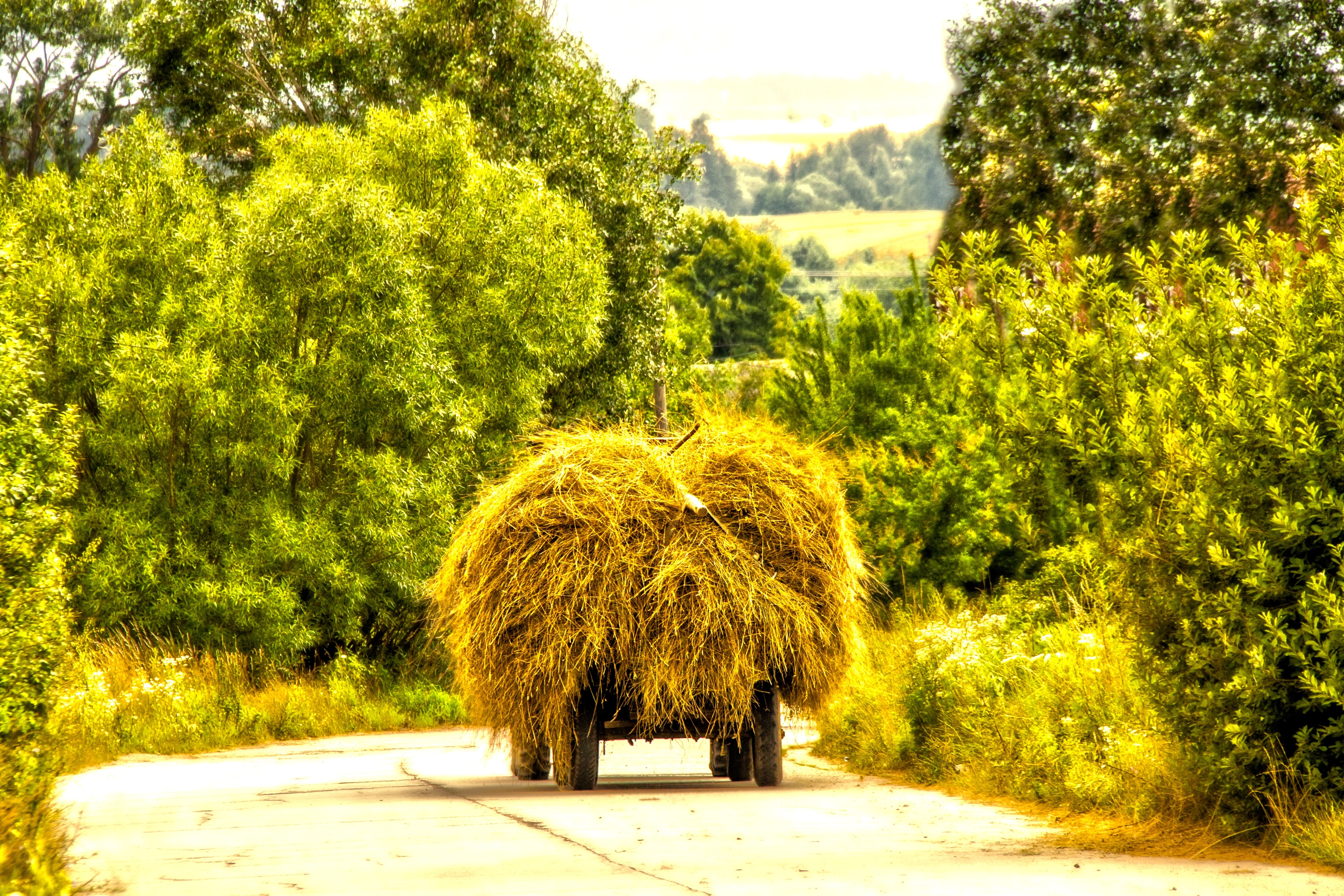 haystack on cart