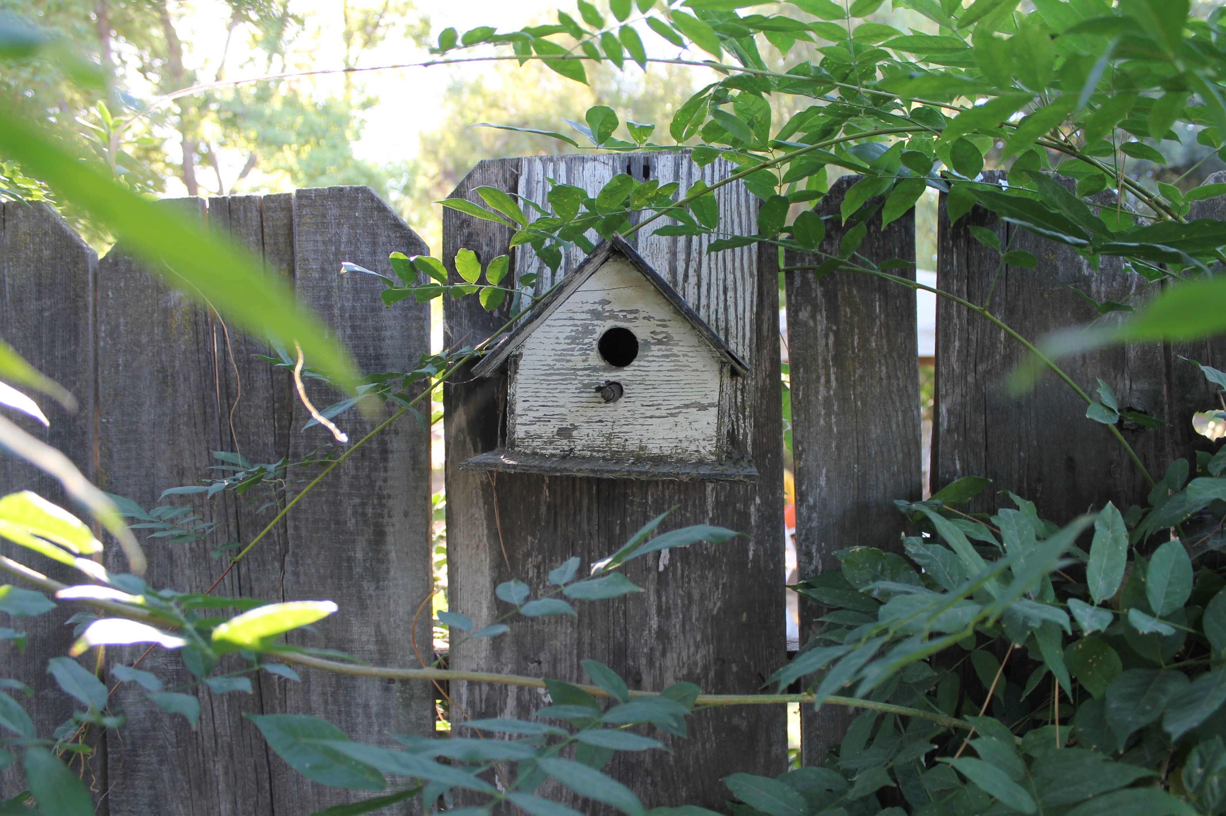 gray wooden bird house near plants