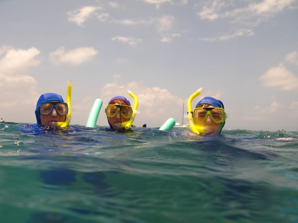 three person floating on sea wearing wetsuit and snorkels during daytime preview