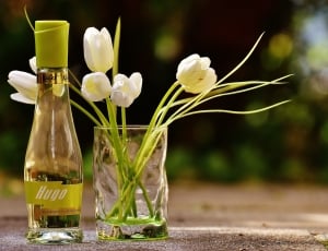 hugo bottle beside white tulips in clear drinking glass thumbnail