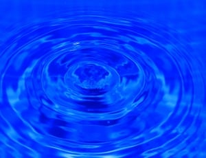 Water, Ring, Blue, Leave, Blida To, rippled, concentric thumbnail