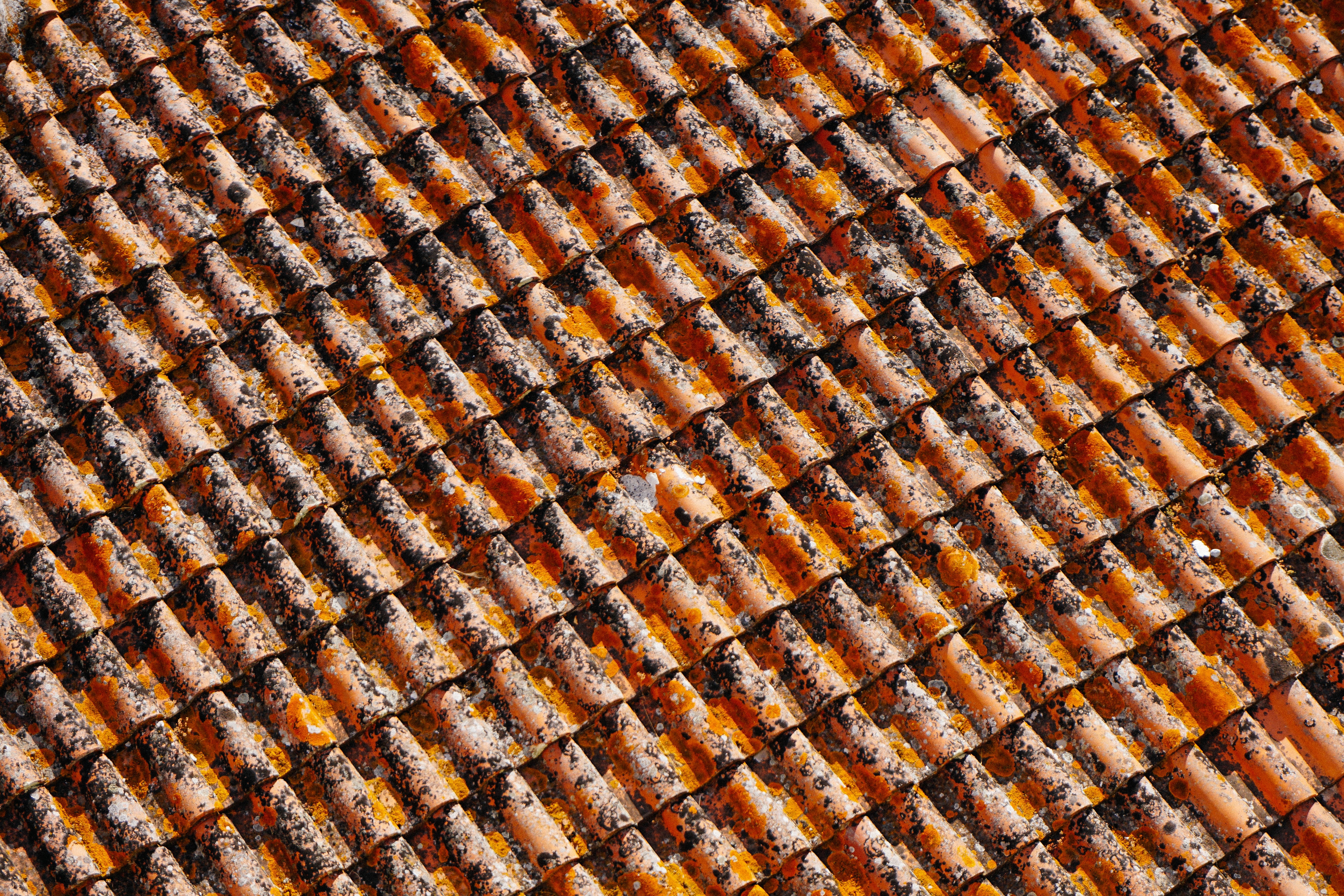 brown and orange roof cover